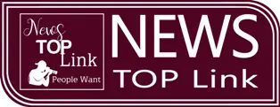 news-top-link