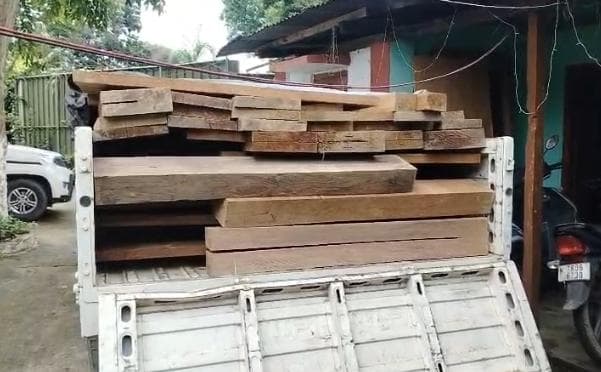 গভীর রাতে মহিলা আধিকারিকের অভিযানে ভেস্তে গেলো বনদস্যুদের পরিকল্পনা !