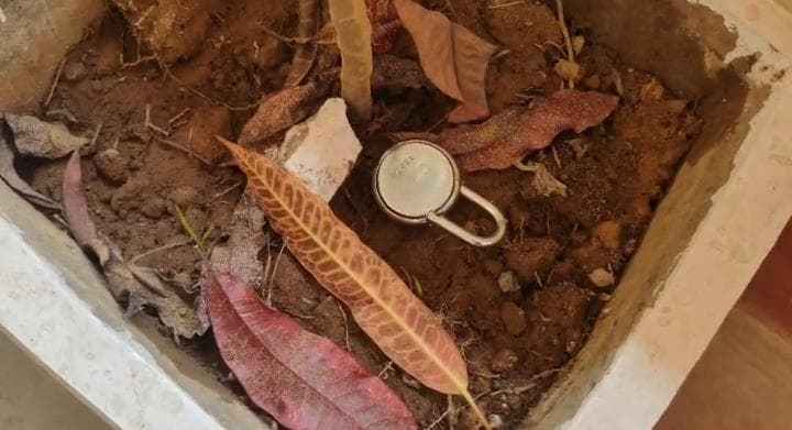 স্কুলে দুই নাইট গার্ড থাকা সত্ত্বেও চুরি! মধুপুর দ্বাদশ শ্রেণী বিদ্যালয়ের ঘটনায় চাঞ্চল্য