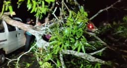 কালবৈশাখীর তাণ্ডবে বিপর্যস্ত জোলাইবাড়ী! গাড়ির উপর গাছ পড়ে চাঞ্চল্য!