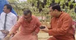  নাবার্ডের সহযোগিতায় আঙ্গুর চাষের একদিনের প্রশিক্ষণ কর্মশালা 