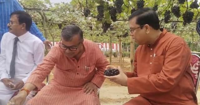  নাবার্ডের সহযোগিতায় আঙ্গুর চাষের একদিনের প্রশিক্ষণ কর্মশালা 